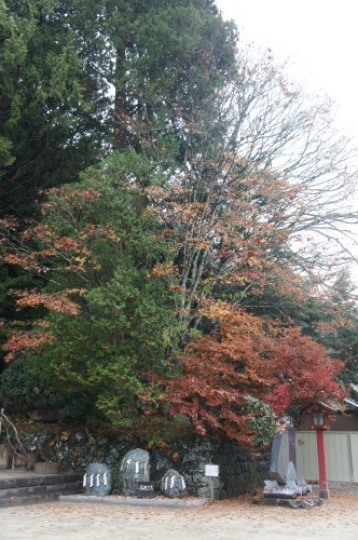 f0215714_16240159.jpg