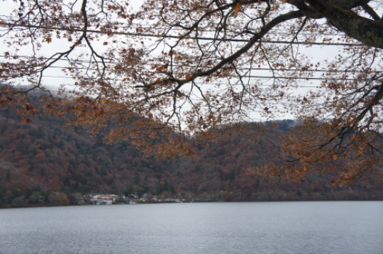 f0215714_16243736.jpg