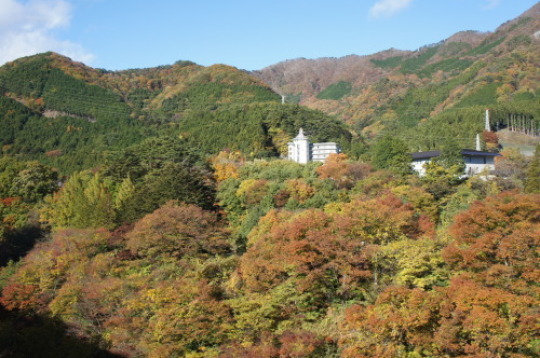 f0215714_16253655.jpg