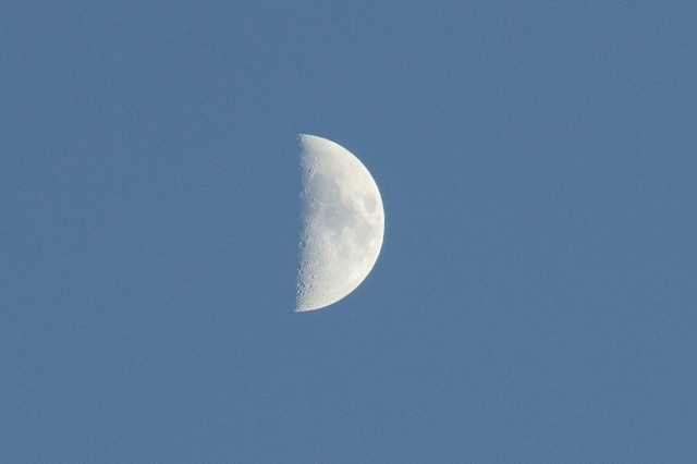 e0361216_18290257.jpg