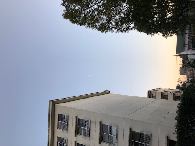 c0038722_853620.jpg