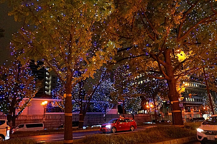 b0068423_22574596.jpg