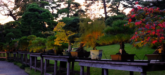 「白金　八芳園散策　TOKYO RED GARDEN」_a0000029_18564146.jpg