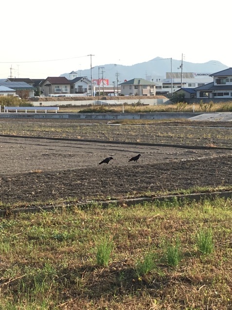 f0068334_07271086.jpeg