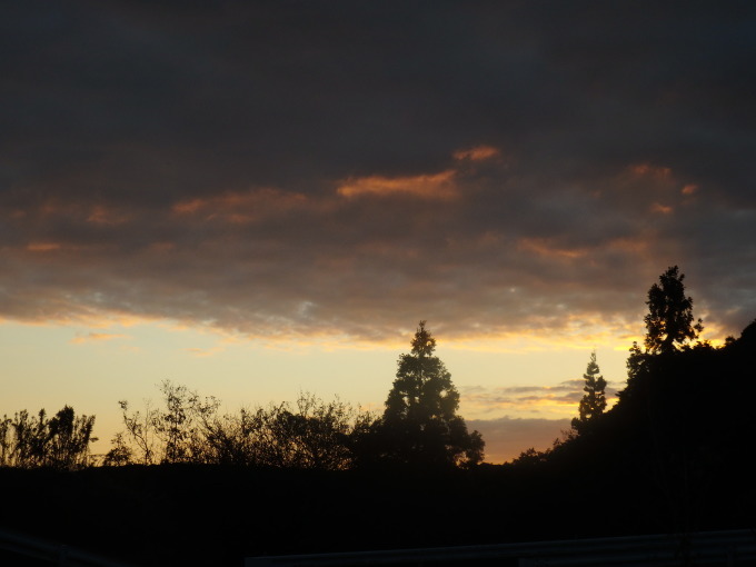 a0054240_22054974.jpg