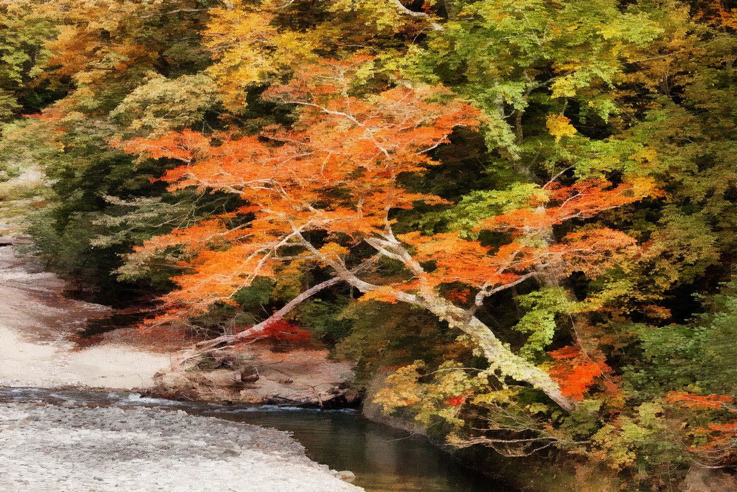 戸隠高原 奥裾花渓谷の紅葉 ２_f0160440_11471372.jpg