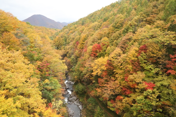 c0236046_18451930.jpg