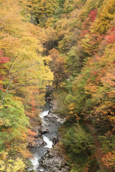 c0236046_18453768.jpg