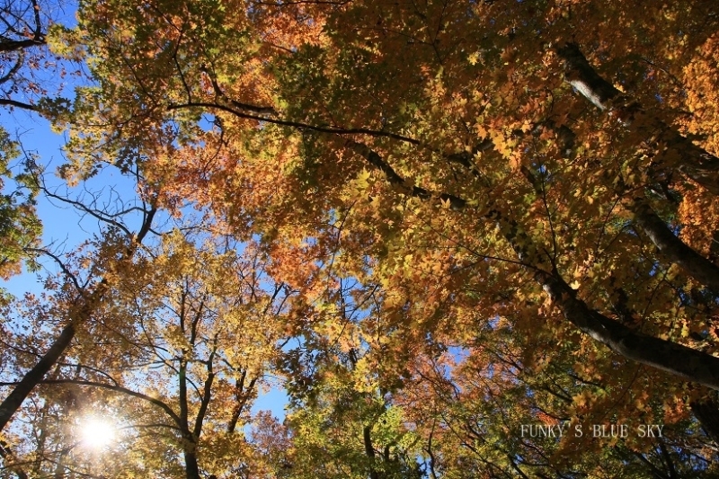 c0145250_10251663.jpg