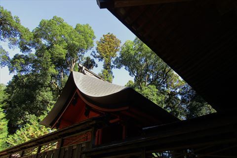 b0220251_05534367.jpg