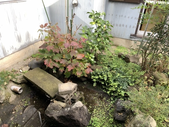 c0327752_14523565.jpeg