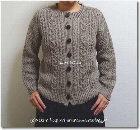 Aran cardigan【完成】_c0345353_13235400.jpg