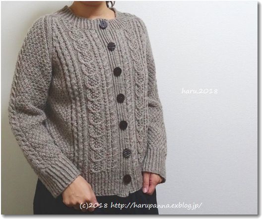 Aran cardigan【完成】_c0345353_13235402.jpg