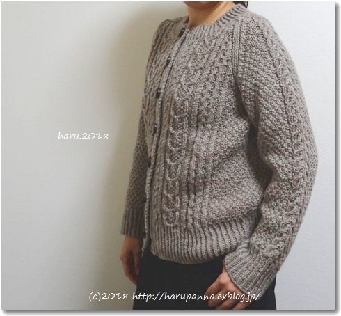 Aran cardigan【完成】_c0345353_13235423.jpg