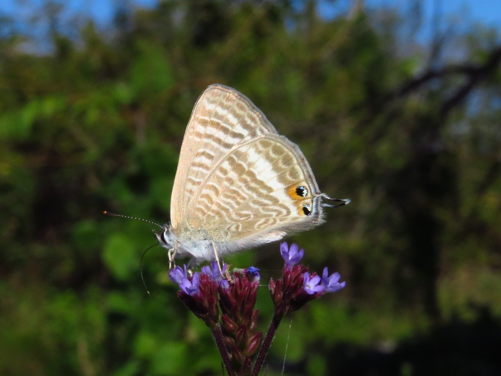 a0018655_09554038.jpg