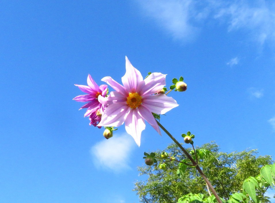 a0018655_09574395.jpg