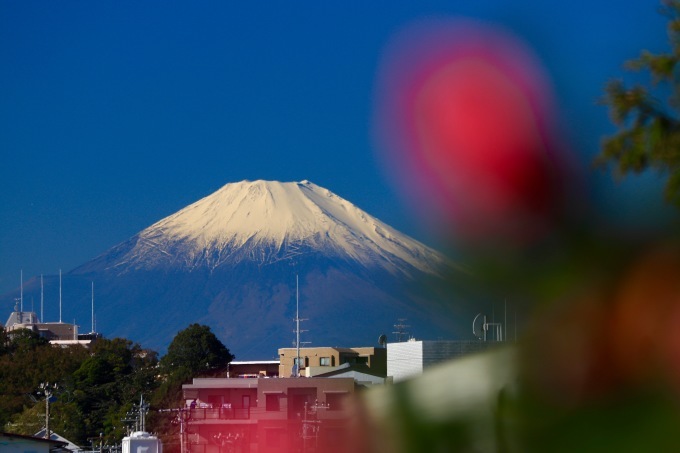 a0248459_14514516.jpg