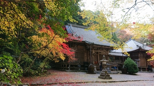 c0328559_16110793.jpg