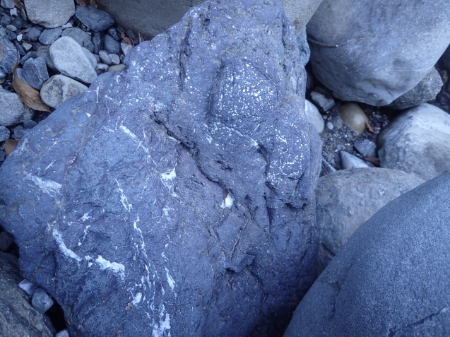d0171959_21432788.jpg