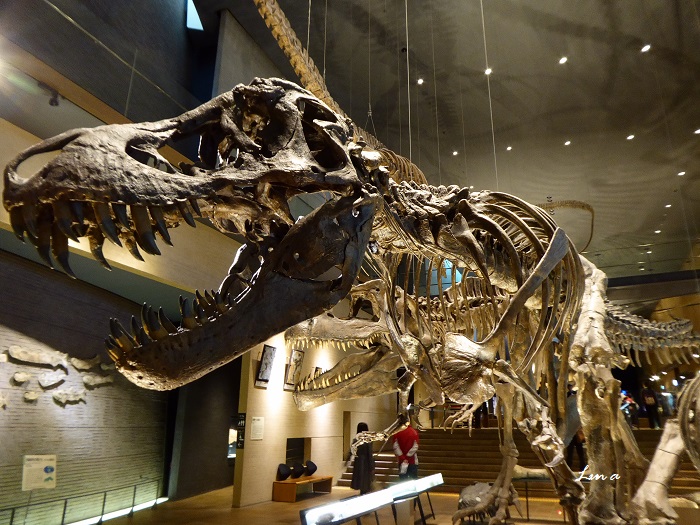 c0222861_214370.jpg