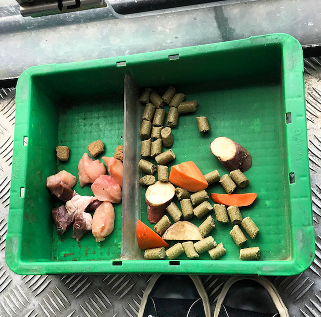 d0197762_13090071.jpeg