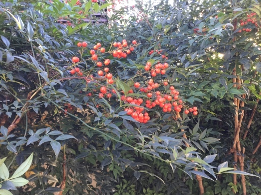 a0053063_22082008.jpeg