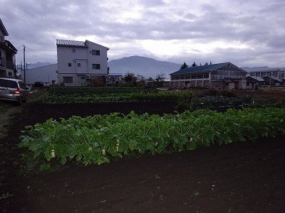 d0074063_07334865.jpg