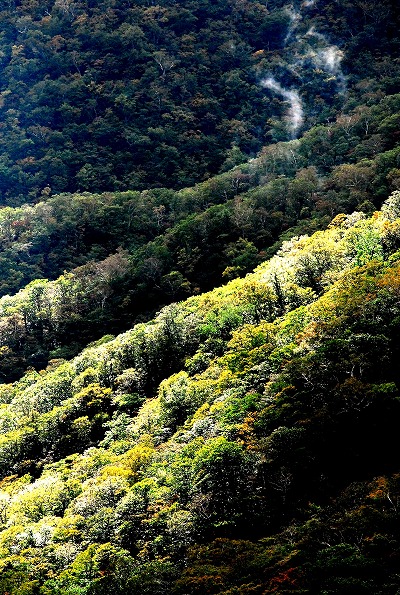 d0244364_1636983.jpg