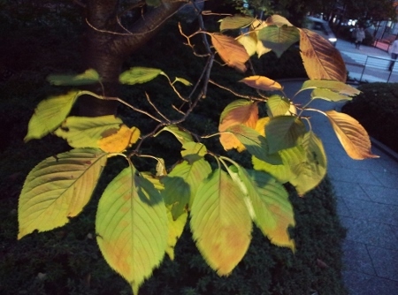 f0367170_23491552.jpg