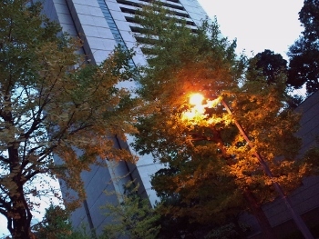 f0367170_23491558.jpg