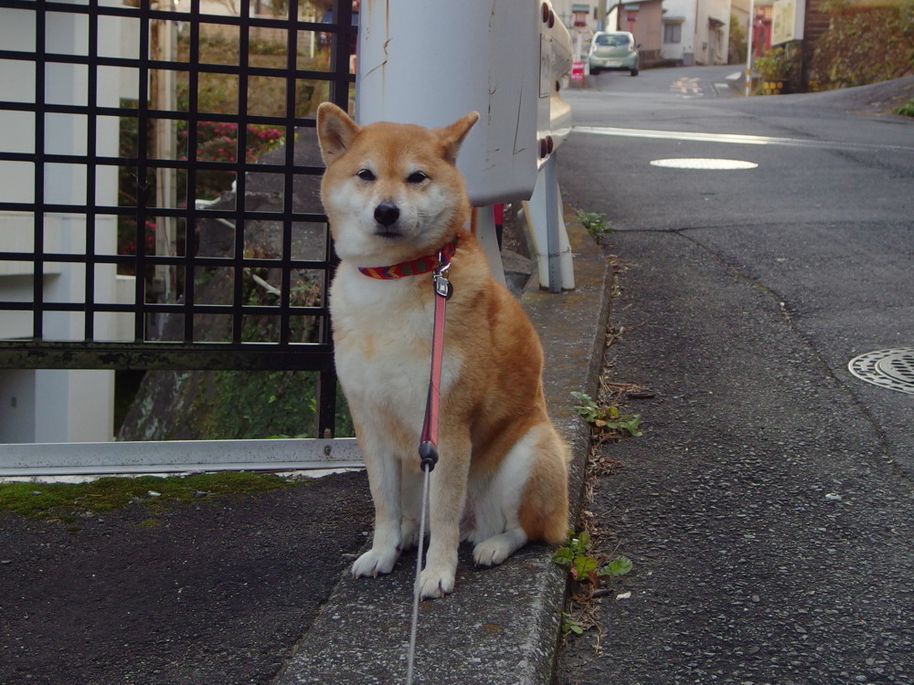 朝地町・用作公園_b0088173_10365044.jpg