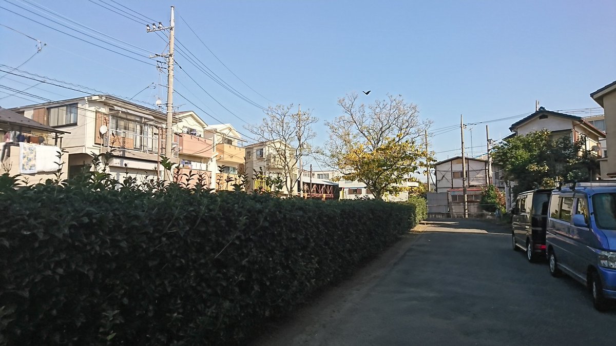 a0332275_23542691.jpg