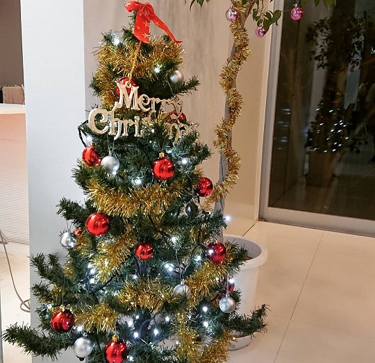 クリスマス装飾_f0172281_6581885.jpg