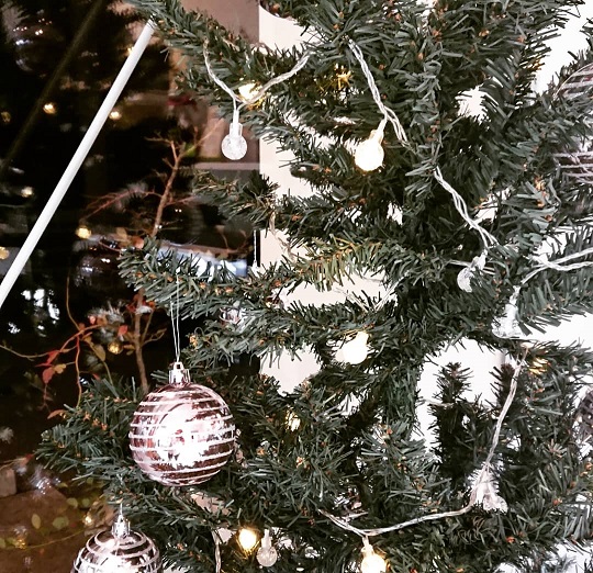 クリスマス装飾_f0172281_6583113.jpg