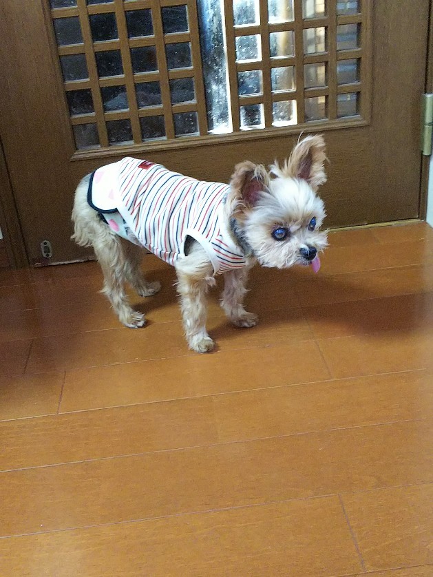 c0191390_20401421.jpg