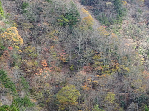 d0212491_2038022.jpg