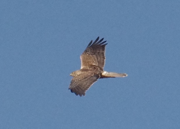 b0028598_17273170.jpg