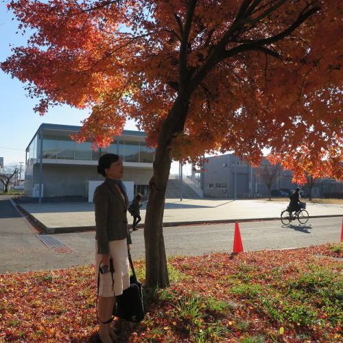 重文本館の朝　２０１８．１１．１６　快晴_c0075701_12561797.jpg