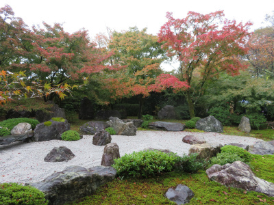 京都旅行　2018.11.16_c0125501_15000667.jpg