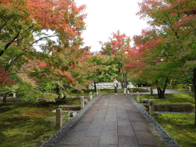 京都旅行　2018.11.16_c0125501_15010207.jpg