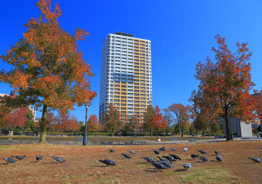 e0093903_16524901.jpg