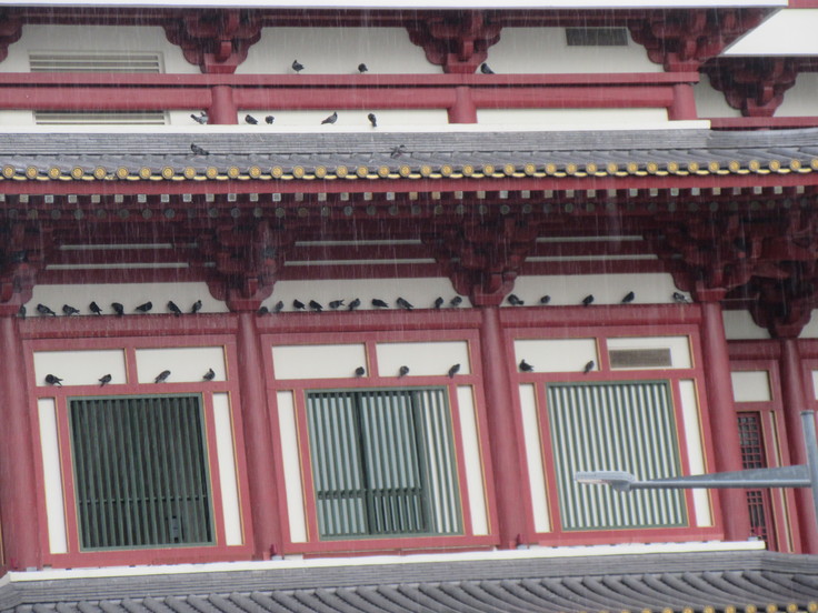 c0212604_7183260.jpg