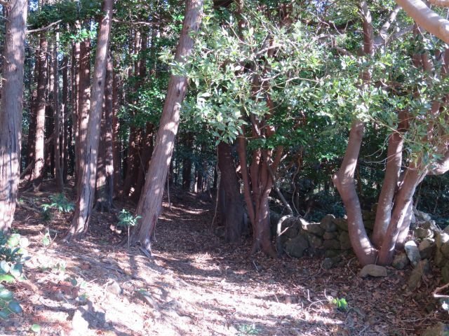 d0360104_00331350.jpg