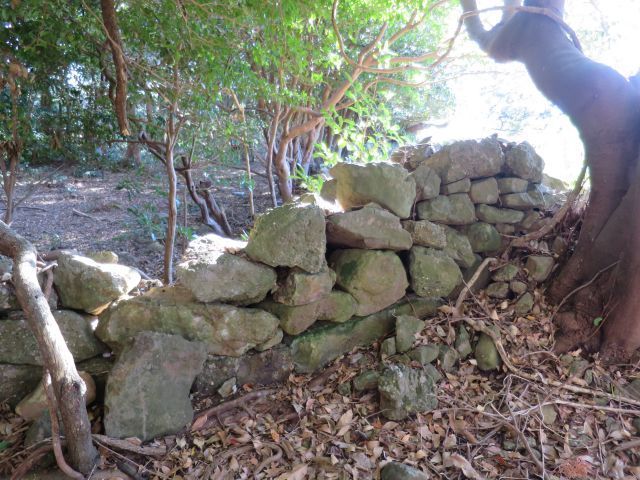 d0360104_00331621.jpg