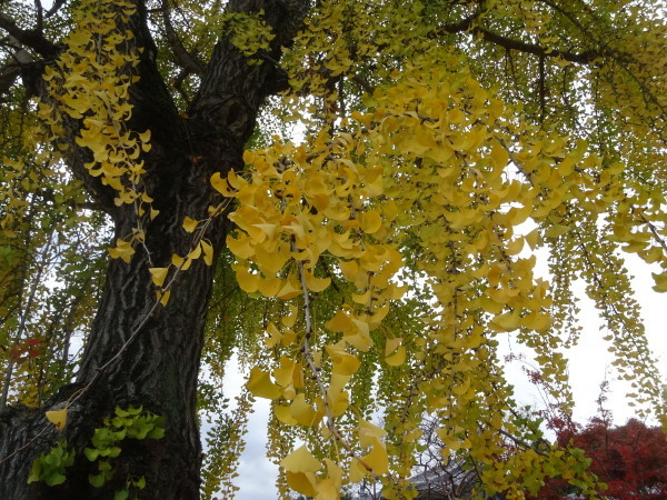 f0231709_20142576.jpg