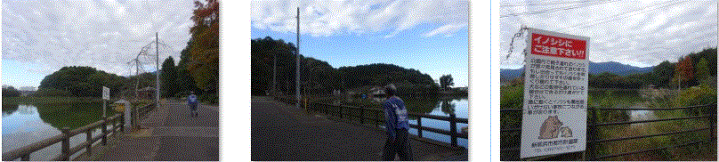 f0231709_20453044.gif