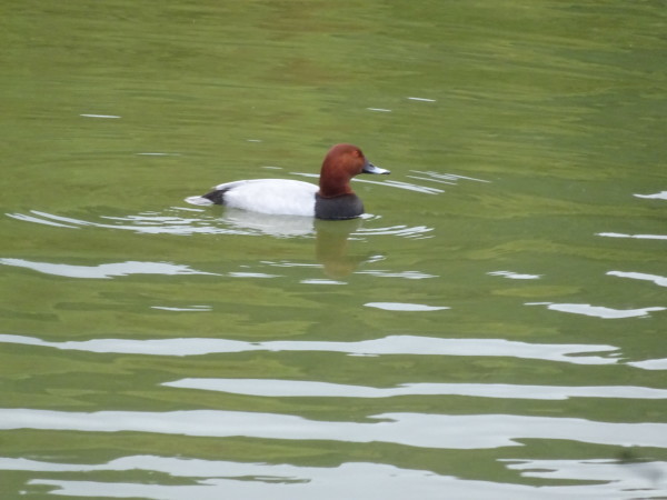 f0231709_20512222.jpg