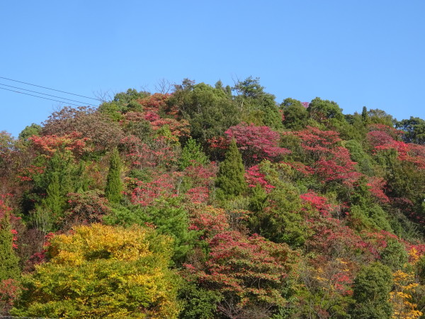 f0231709_21042693.jpg