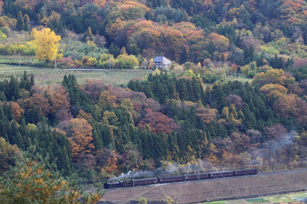 b0190710_22343286.jpg