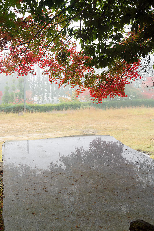 2018京都の紅葉・亀岡　苗秀寺　其の一_f0032011_19344287.jpg